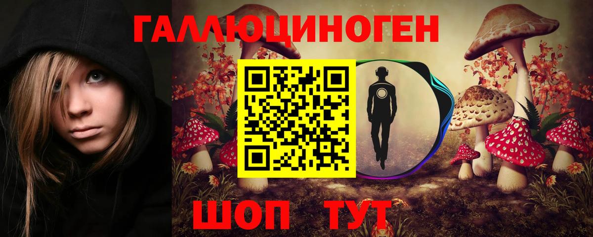 Апатиты  купить закладку  Вход с VPN  Галлюциногенные грибы Psilocybine cubensis 